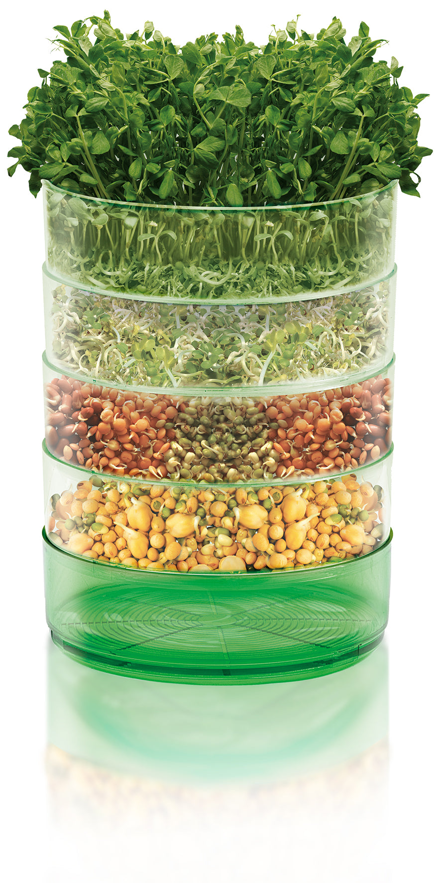 Kitchen Seed Sprouter Kit