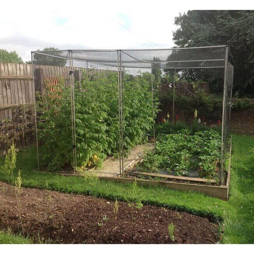 Walk In Aluminium Fruit & Veg Cage with Butterfly Netting