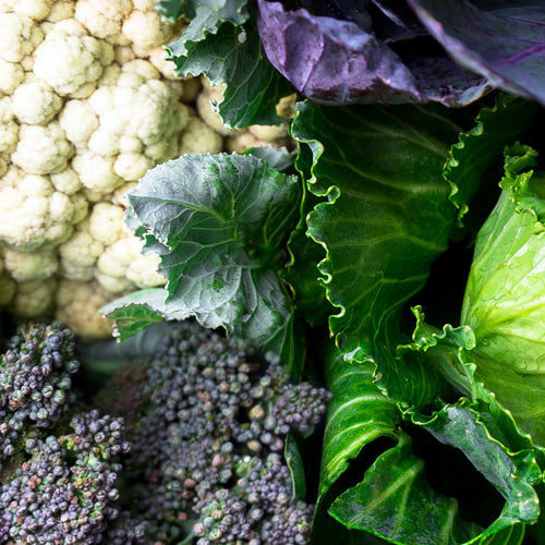 Customer Top Tips For Growing Brassicas