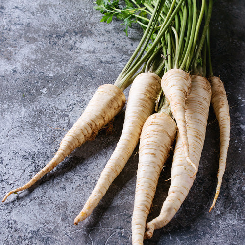 Customer Top Tips For Growing Parsnips