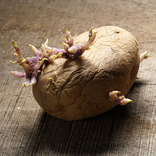 Customer FAQs - Potato Chitting