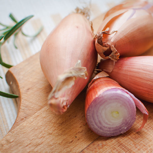 How To Grow Onion And Shallot From Seed