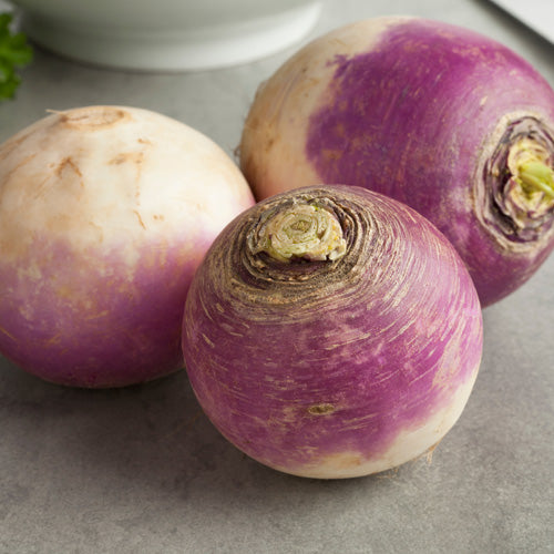 How To Grow Turnip From Seed