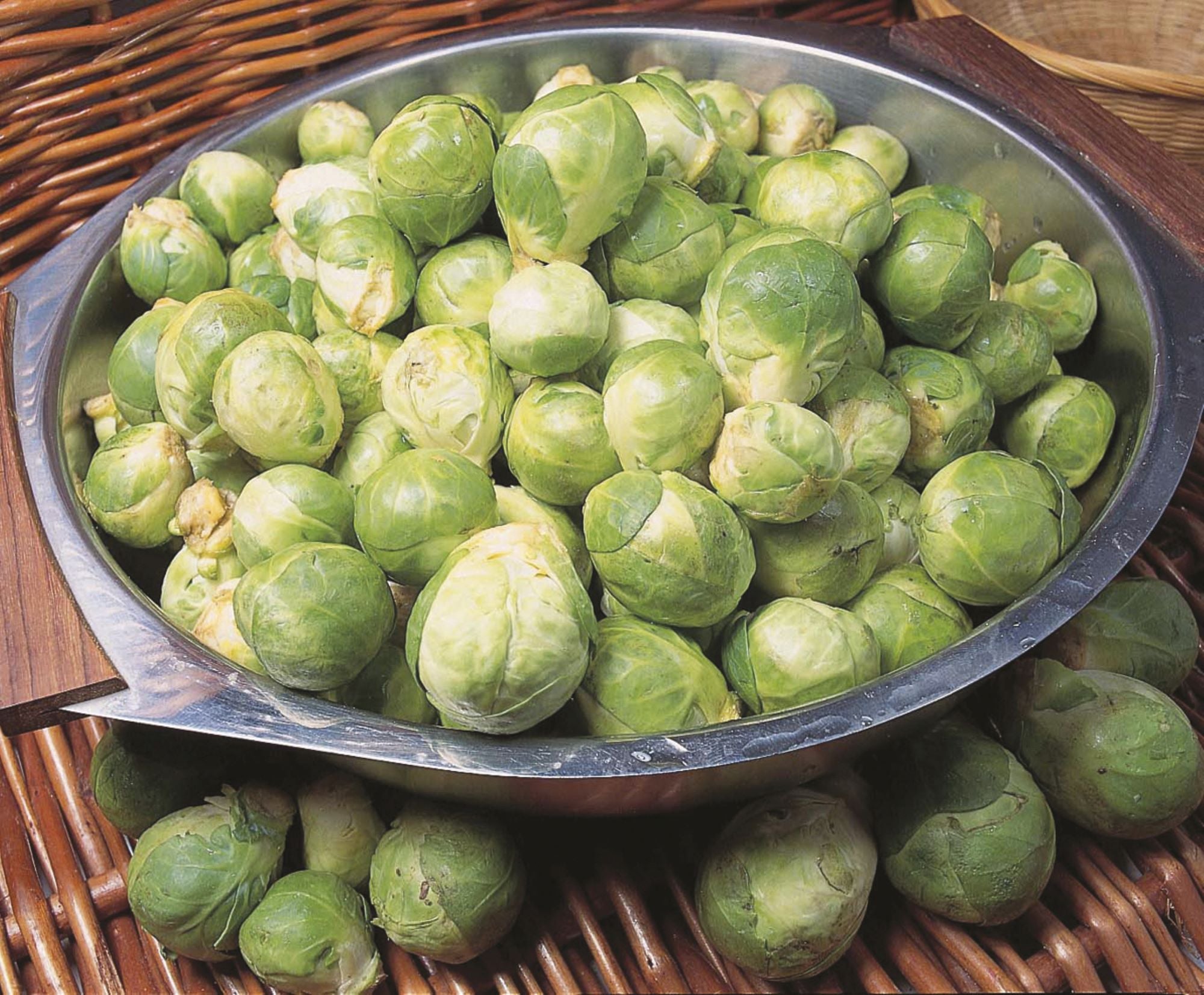 Brussels Sprouts Seeds