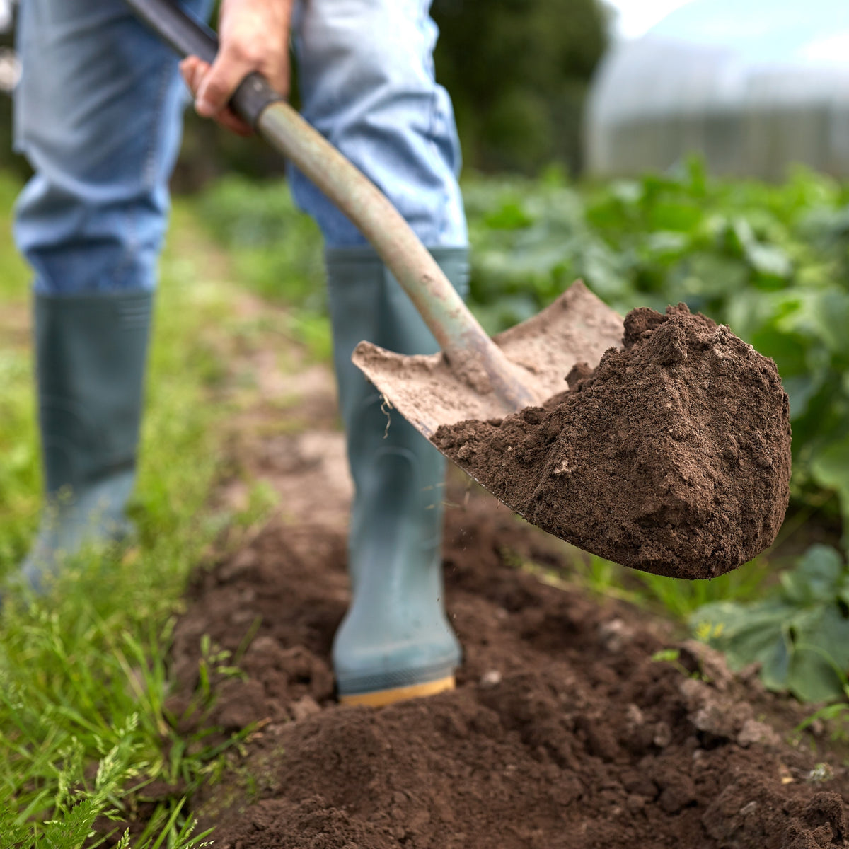Garden Compost | Gardening Compost | D.T. Brown
