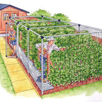 Fruit Cages