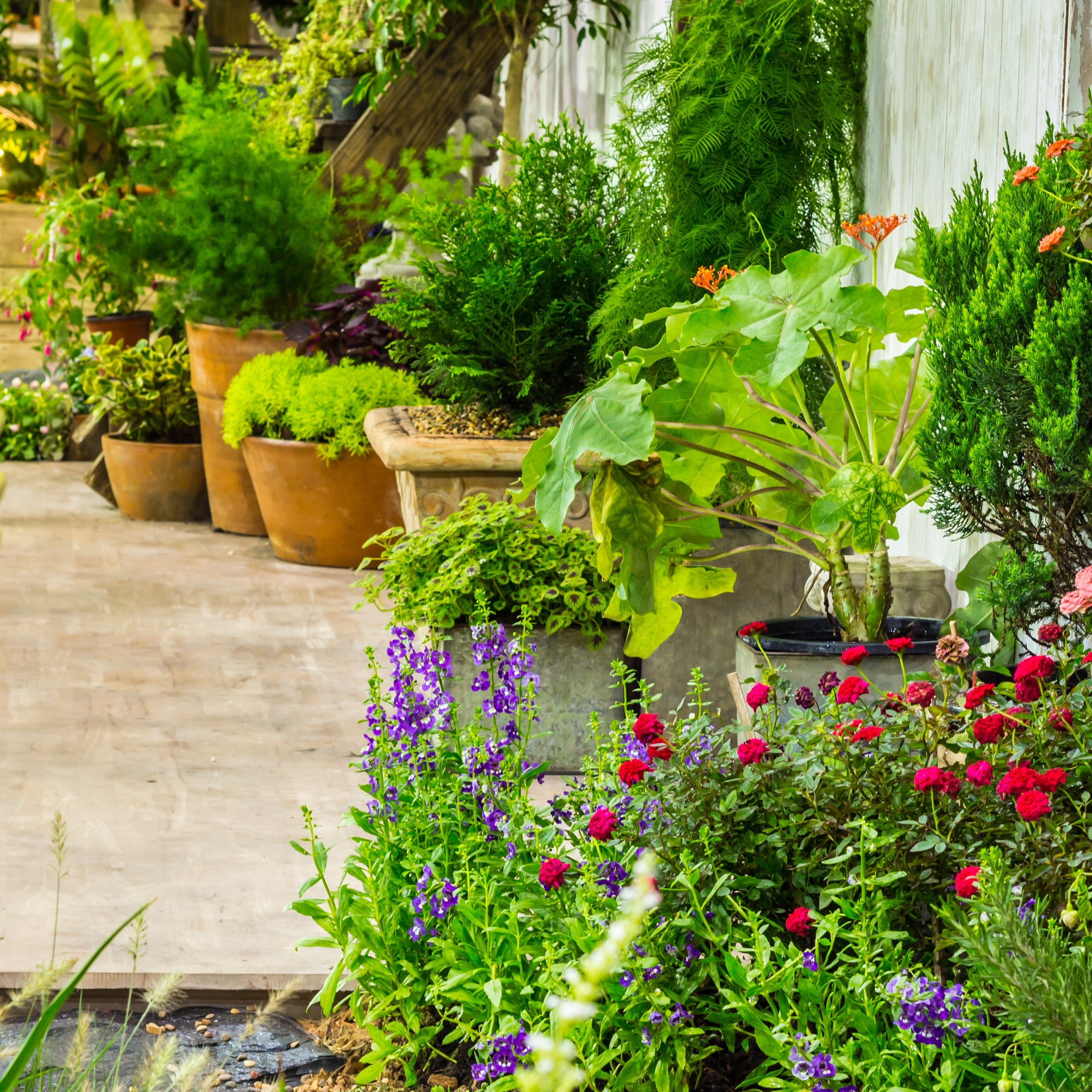 Containers, pots & patio