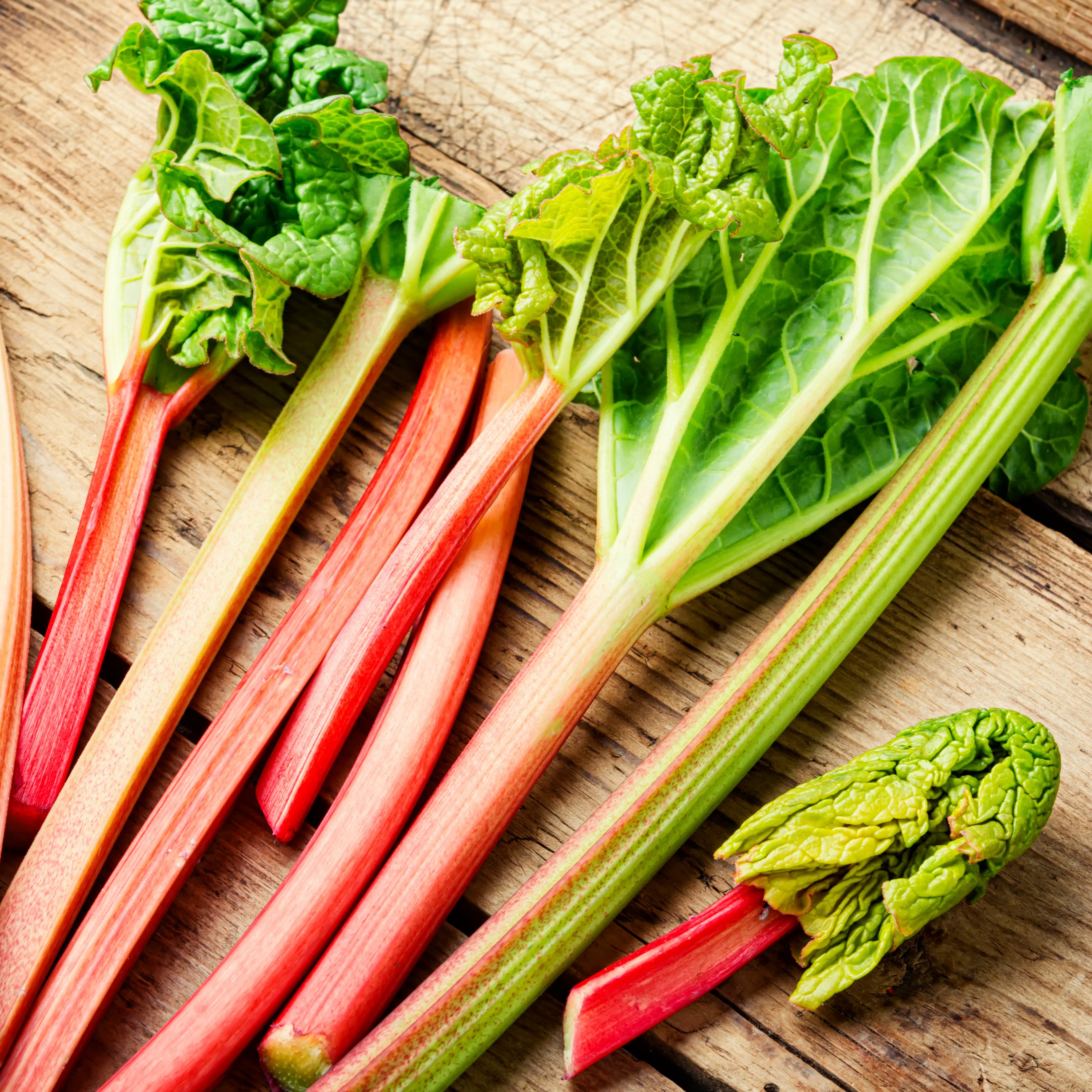 Rhubarb Crowns & Rhubarb Plants UK - D.T. Brown Seeds