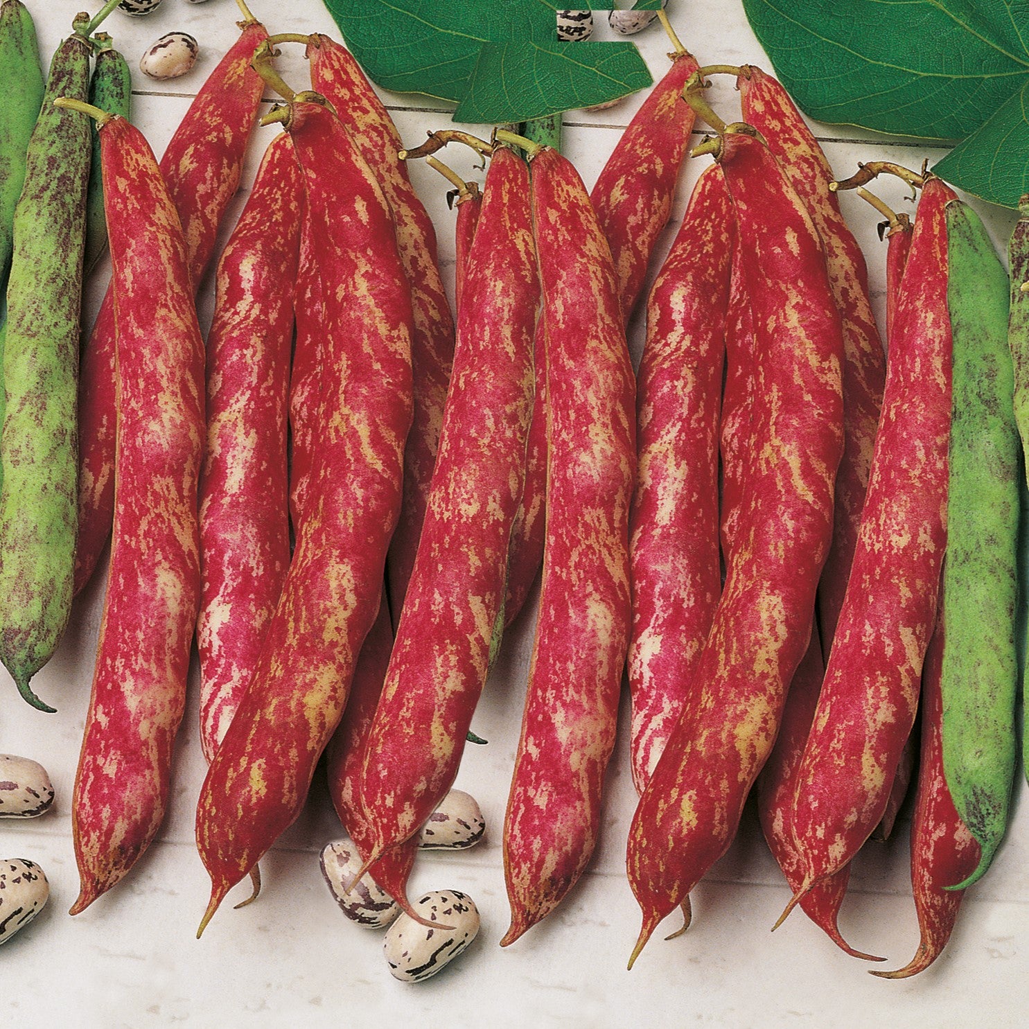 Heirloom Peas and Beans