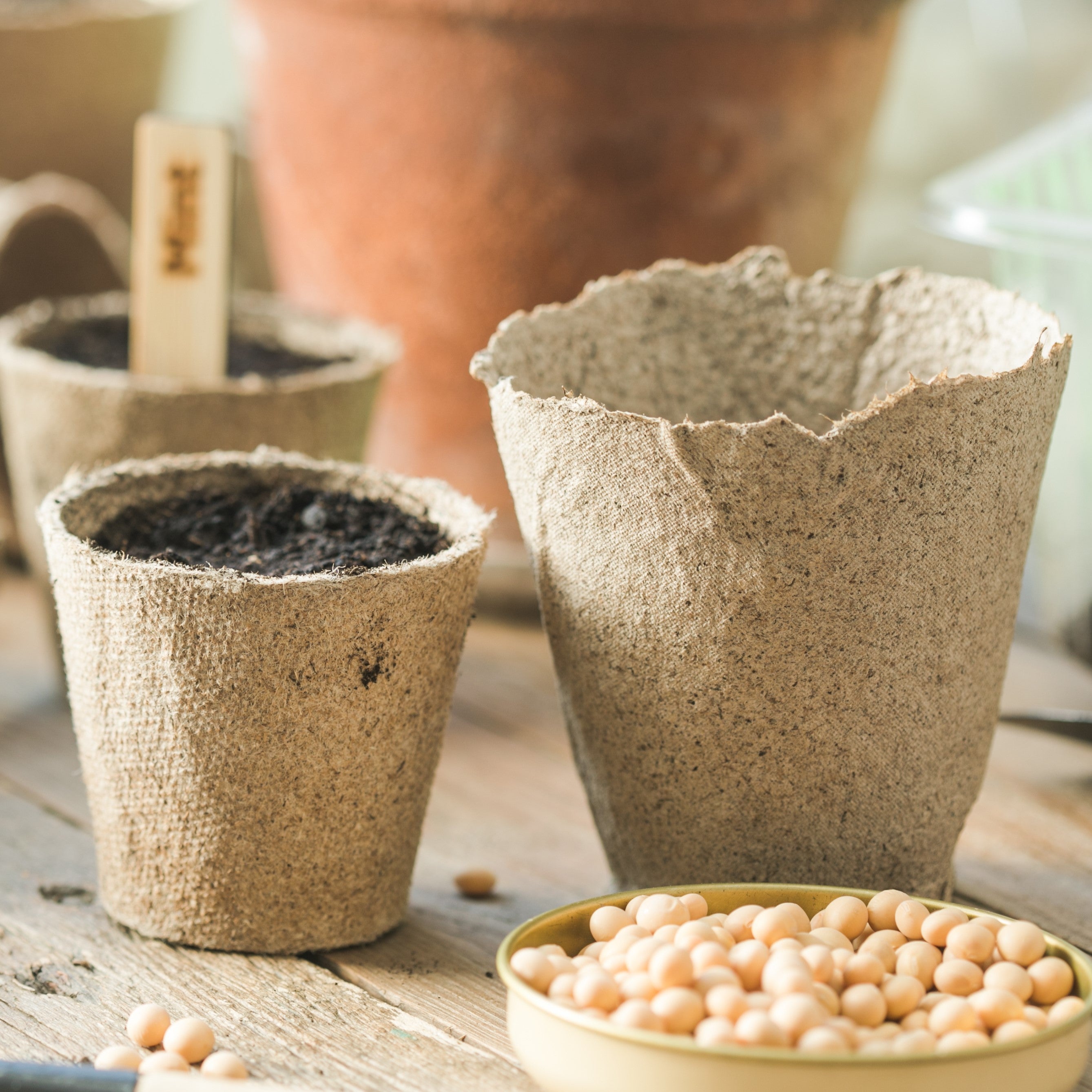 Pots & trays