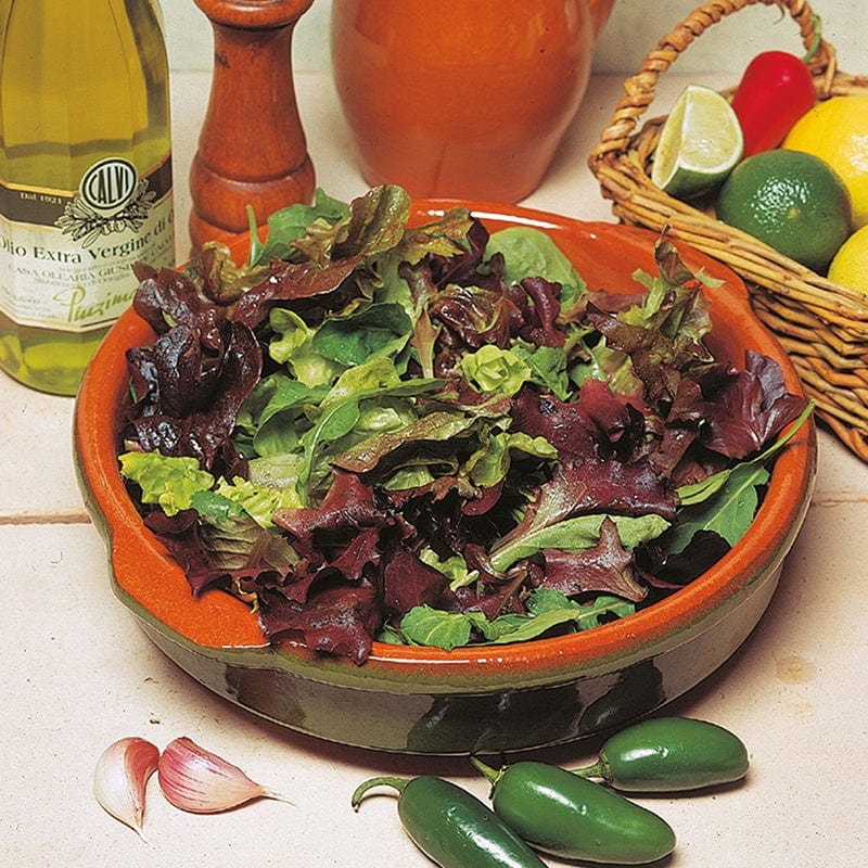 dt-brown VEGETABLE SEEDS Lettuce D.T.Brown's Salad Mix Seeds