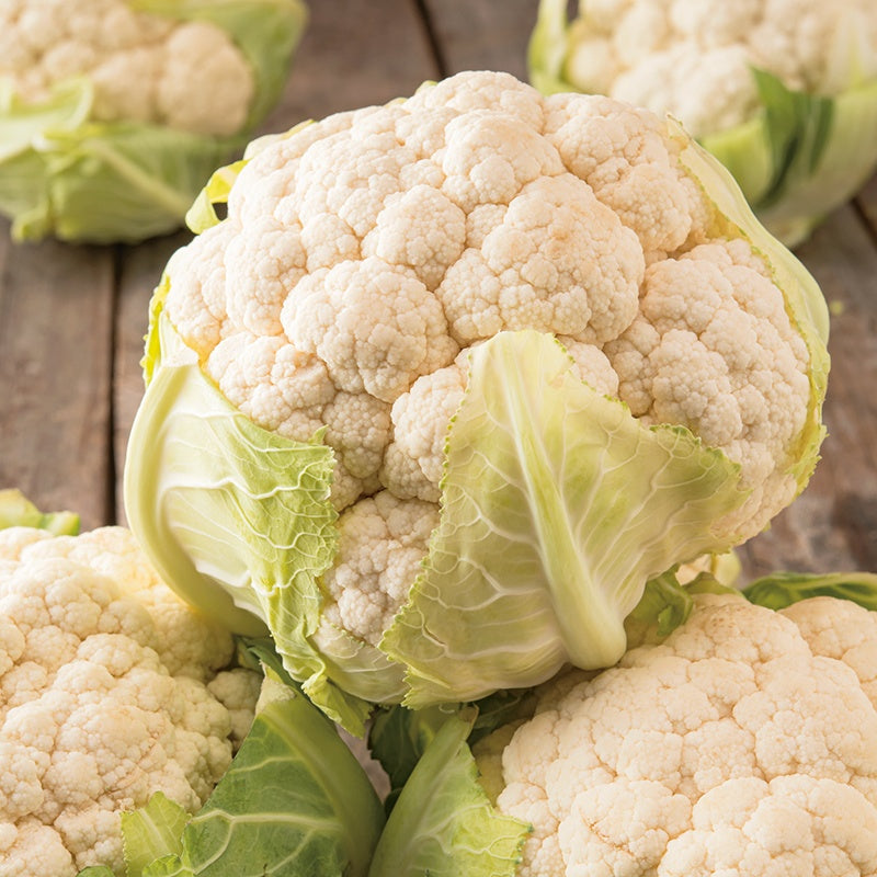 Cauliflower Plants