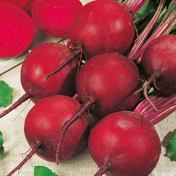 dt-brown VEGETABLE SEEDS Beetroot Boltardy AGM Seeds x10g