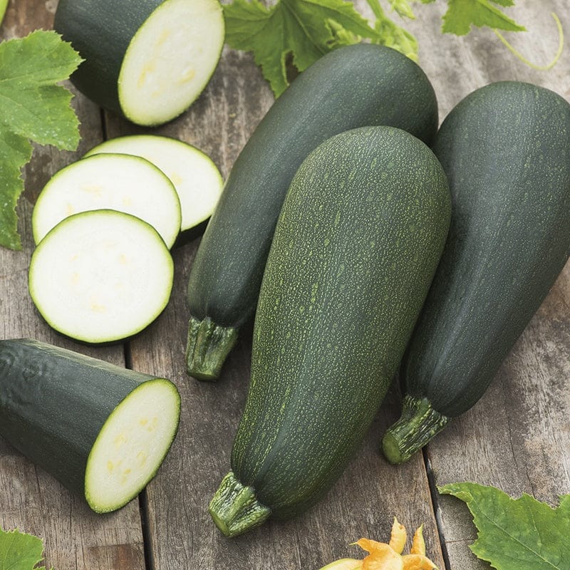 dt-brown VEGETABLE SEEDS Courgette (Climbing) Black Forest F1 Seeds
