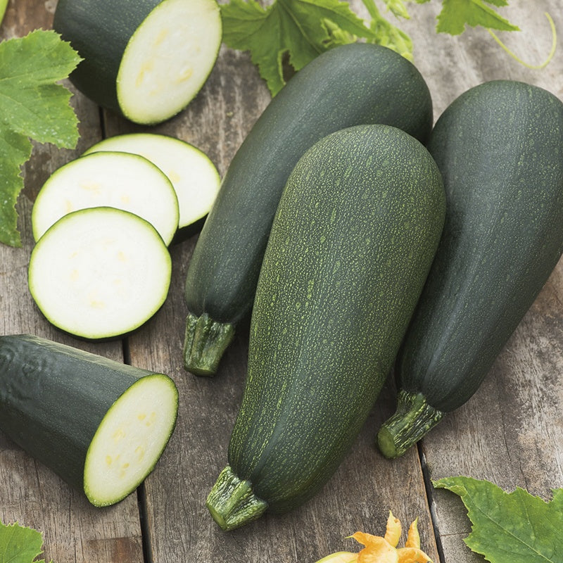 Courgette Black Forest F1 Seeds