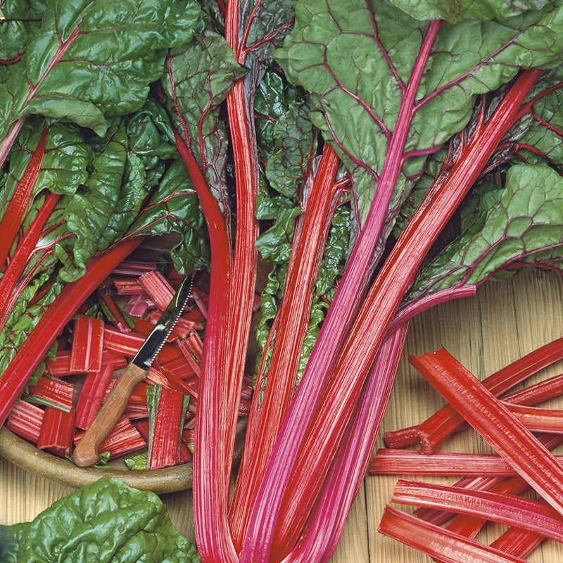 Chard Charlotte Seeds