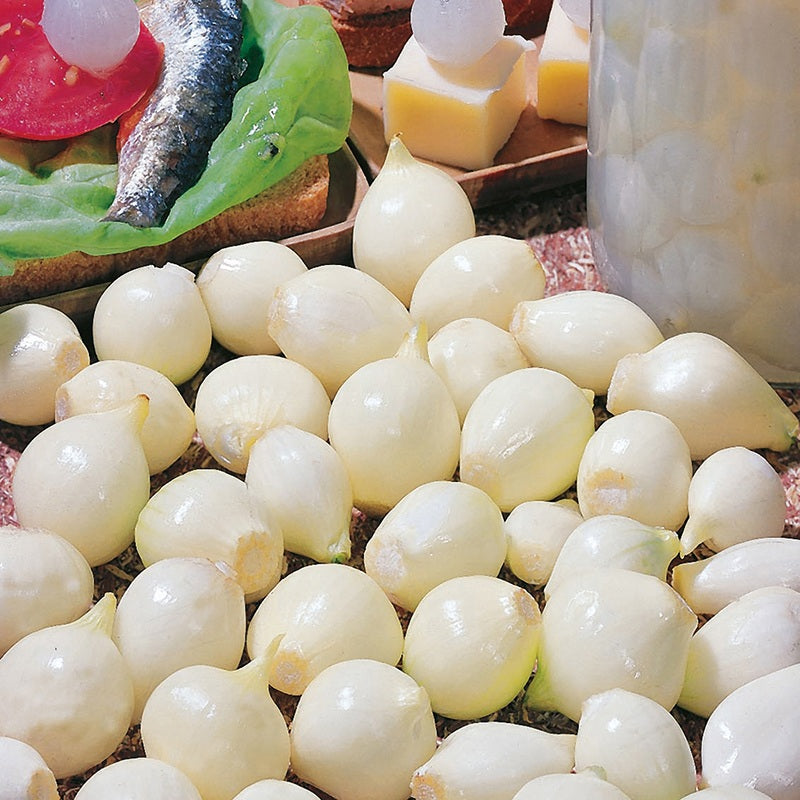 Onion De Paris Seeds