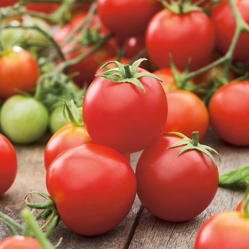 dt-brown VEGETABLE SEEDS Tomato Tumbler F1 Seeds