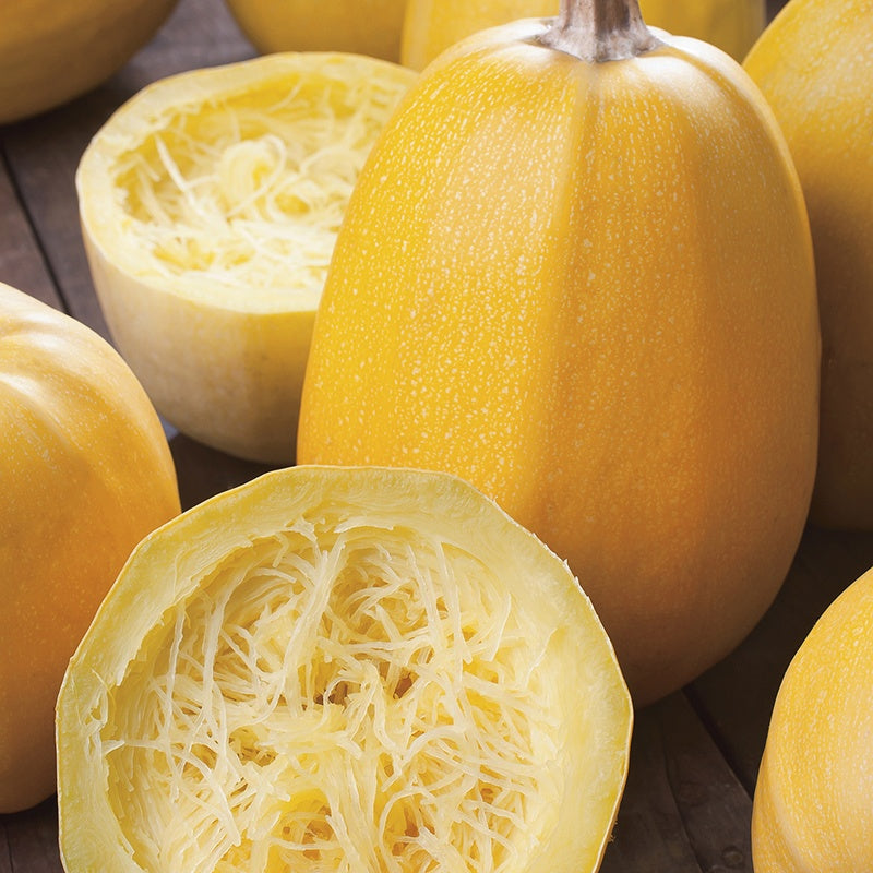 Spaghetti Squash Seeds