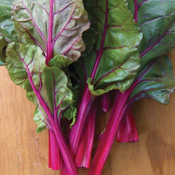 dt-brown VEGETABLE SEEDS Chard Red Magic F1 Seeds