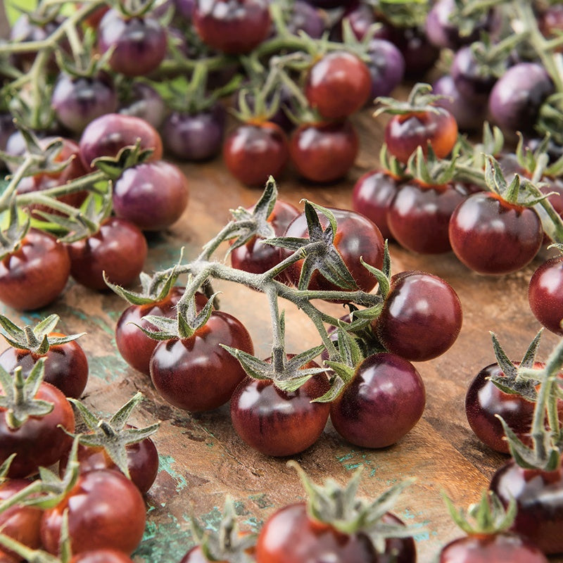 Tomato Indigo Blue Berries Seeds