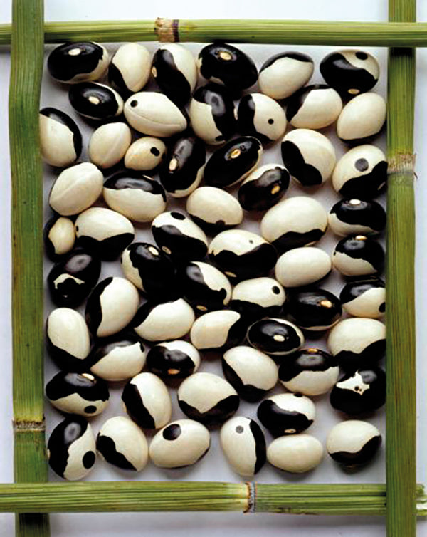 Dwarf French Bean Yin Yang Seeds