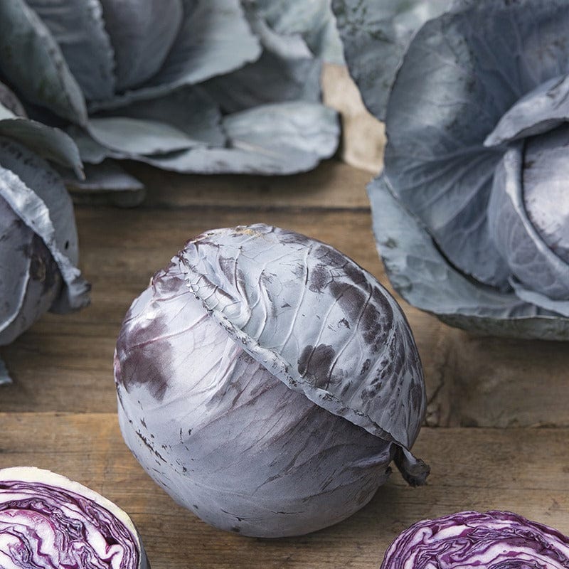 dt-brown VEGETABLE SEEDS Cabbage Klimaro F1