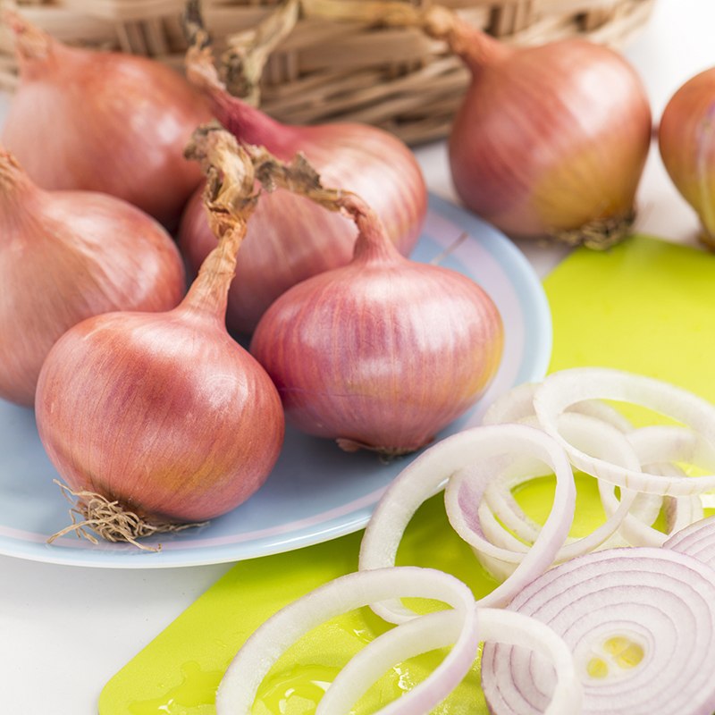Onion Isobel Rose Seeds