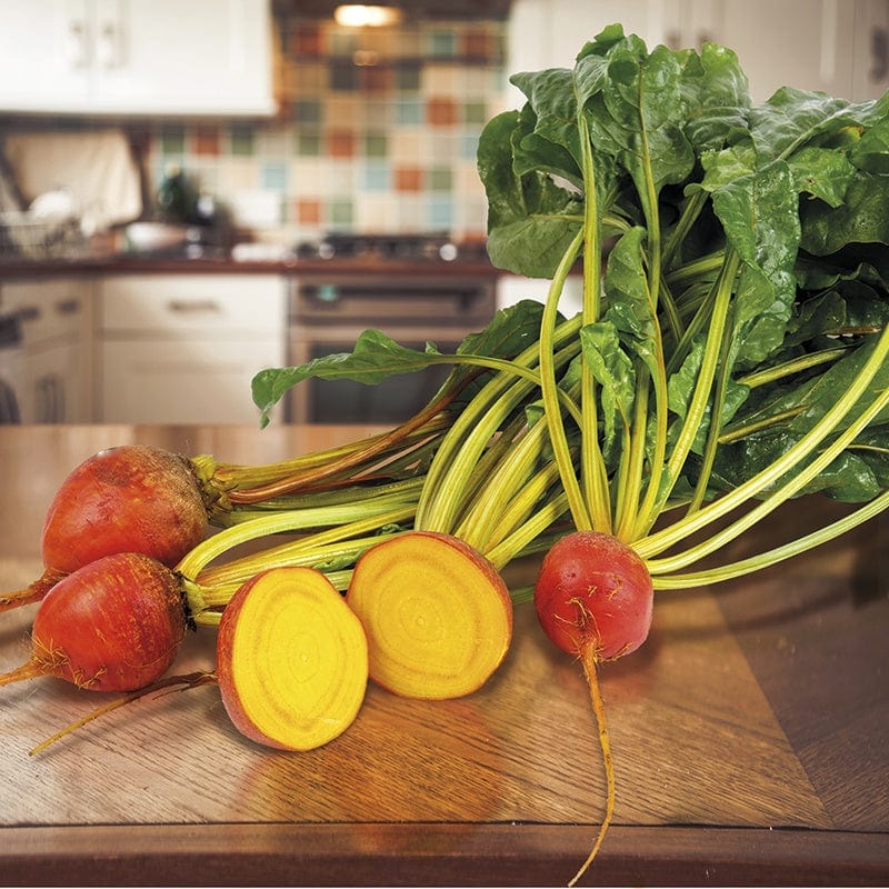dt-brown VEGETABLE SEEDS Beetroot Golden Eye Seeds