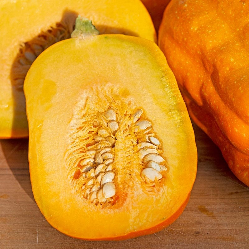 dt-brown VEGETABLE SEEDS Squash (Winter) Gill's Golden Pippin Seeds