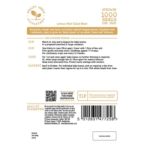 Lettuce Red Salad Bowl Seeds