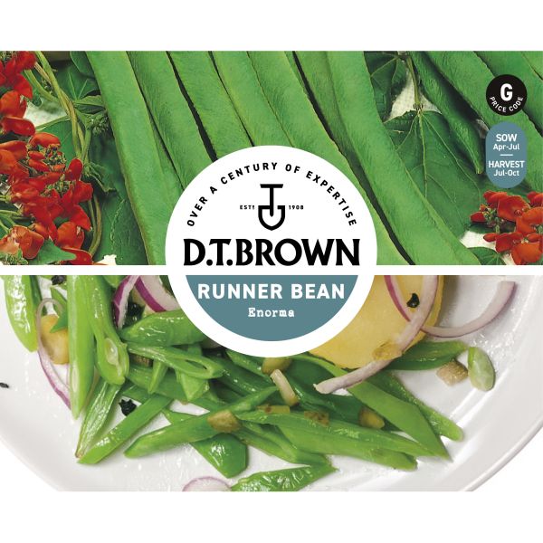 D.T. Brown runner bean packaging with green beans and a salad on a white background