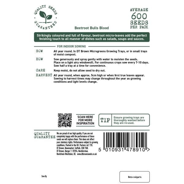 Beetroot Bulls Blood Seeds