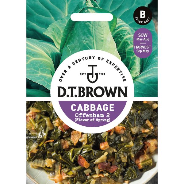 Cabbage Offenham 2 (Flower Of Spring) Seeds