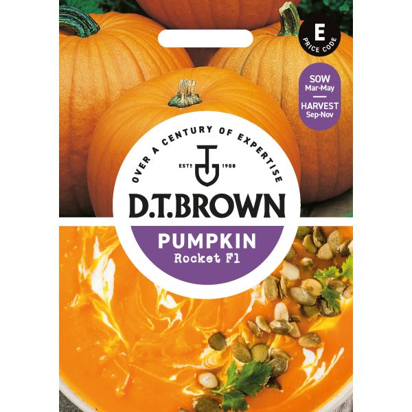 D.T. Brown pumpkin seed packet with pumpkins and seeds on a white background