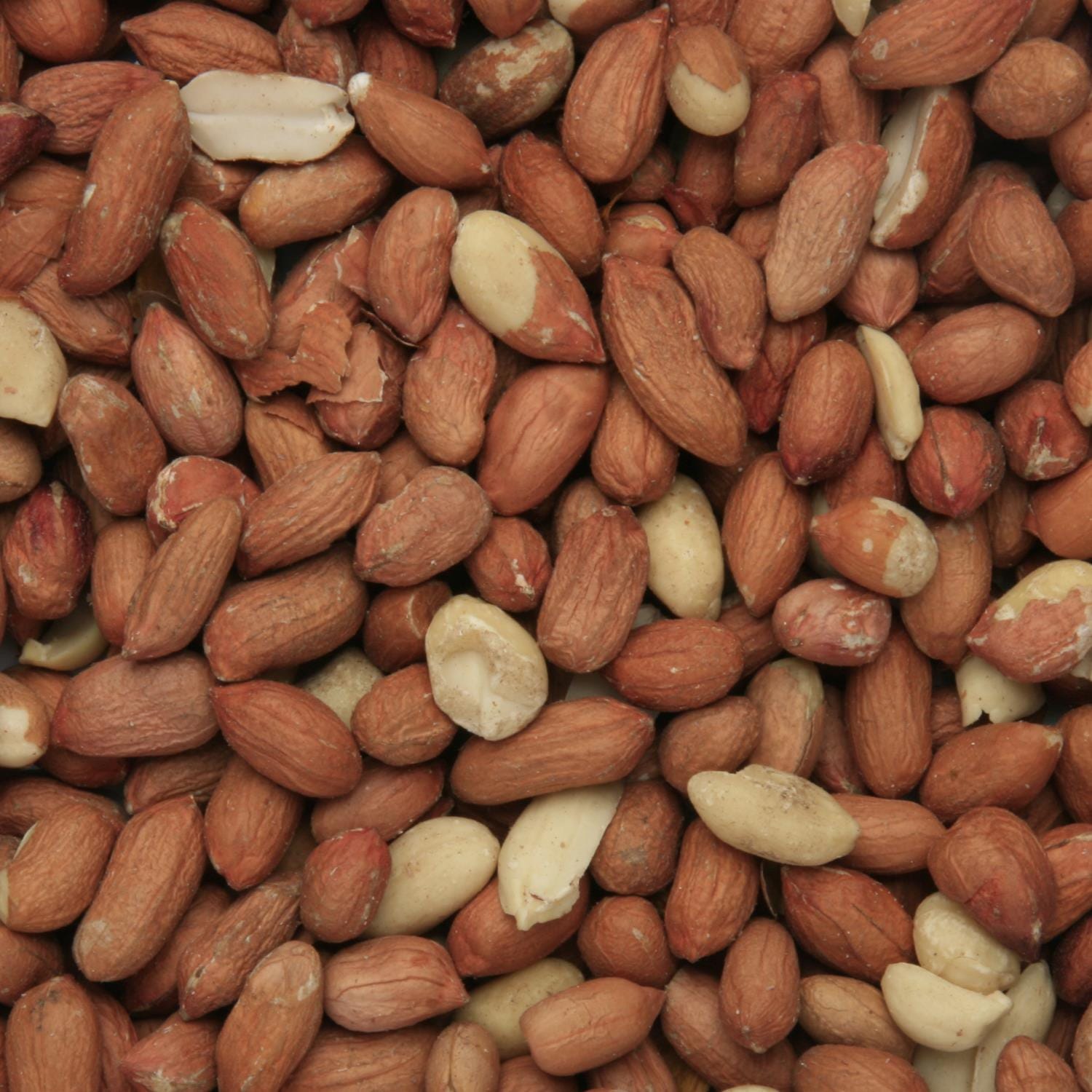 dt-brown HARDWARE 5ltr (3.5kg) Bird Food Peanuts