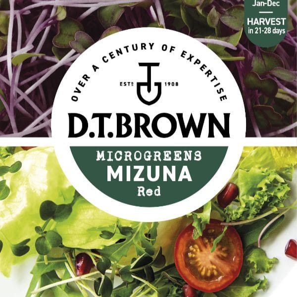 dt-brown VEGETABLE SEEDS Mizuna Red Seeds
