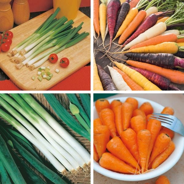 dt-brown Better Together: Carrot & Co