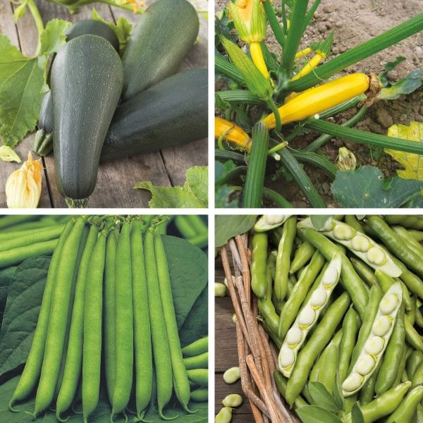 dt-brown Better Together: Leaf & Legume