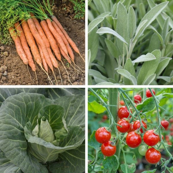 dt-brown Better together: The Garden Gourmet