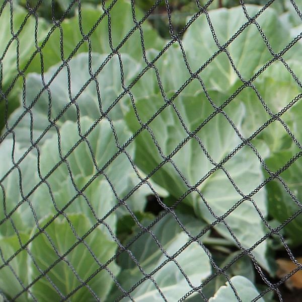 Walk In Aluminium Fruit & Veg Cages with Bird Netting