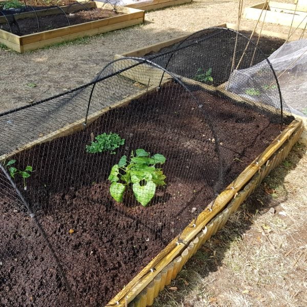 dt-brown Bird Plant Protection Netting