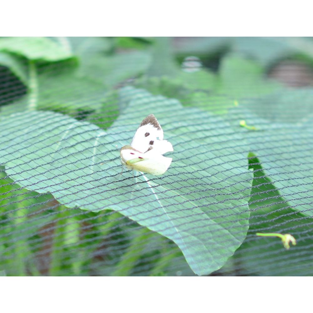 Premium Walk In Aluminium Fruit & Veg Cage with Butterfly Netting