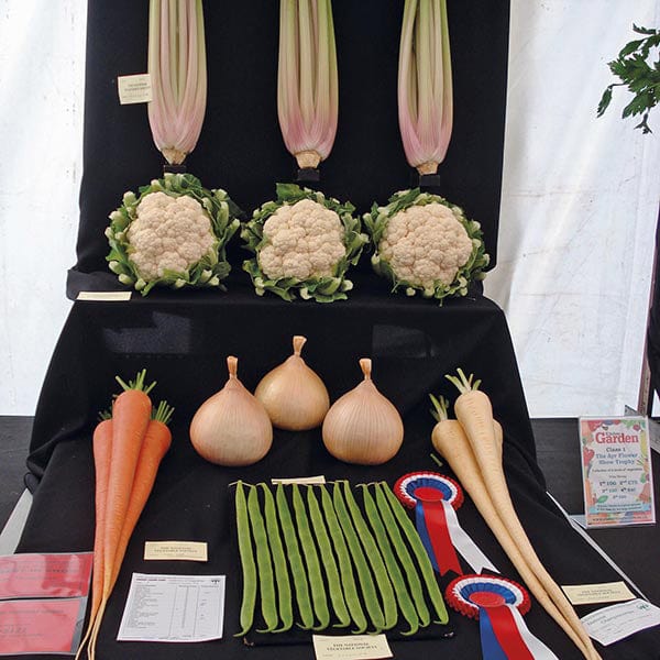 dt-brown VEGETABLE SEEDS Exhibition Veg Seed Collection