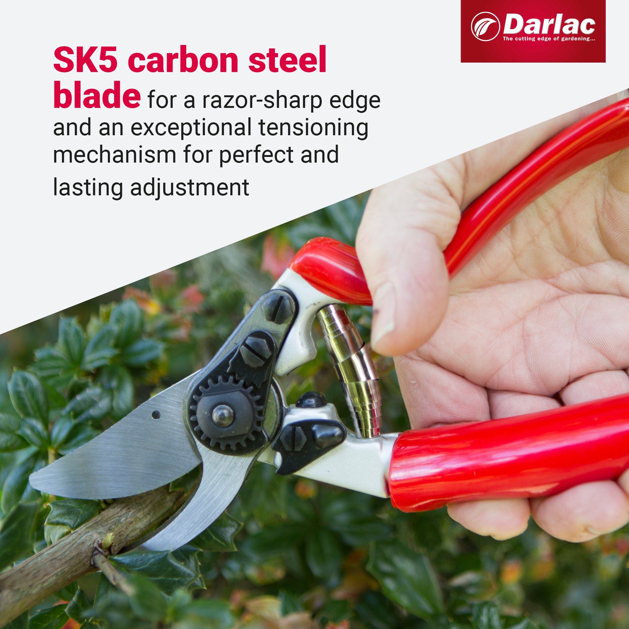 dt-brown HARDWARE Darlac Expert Rotating Handle Bypass Secateurs