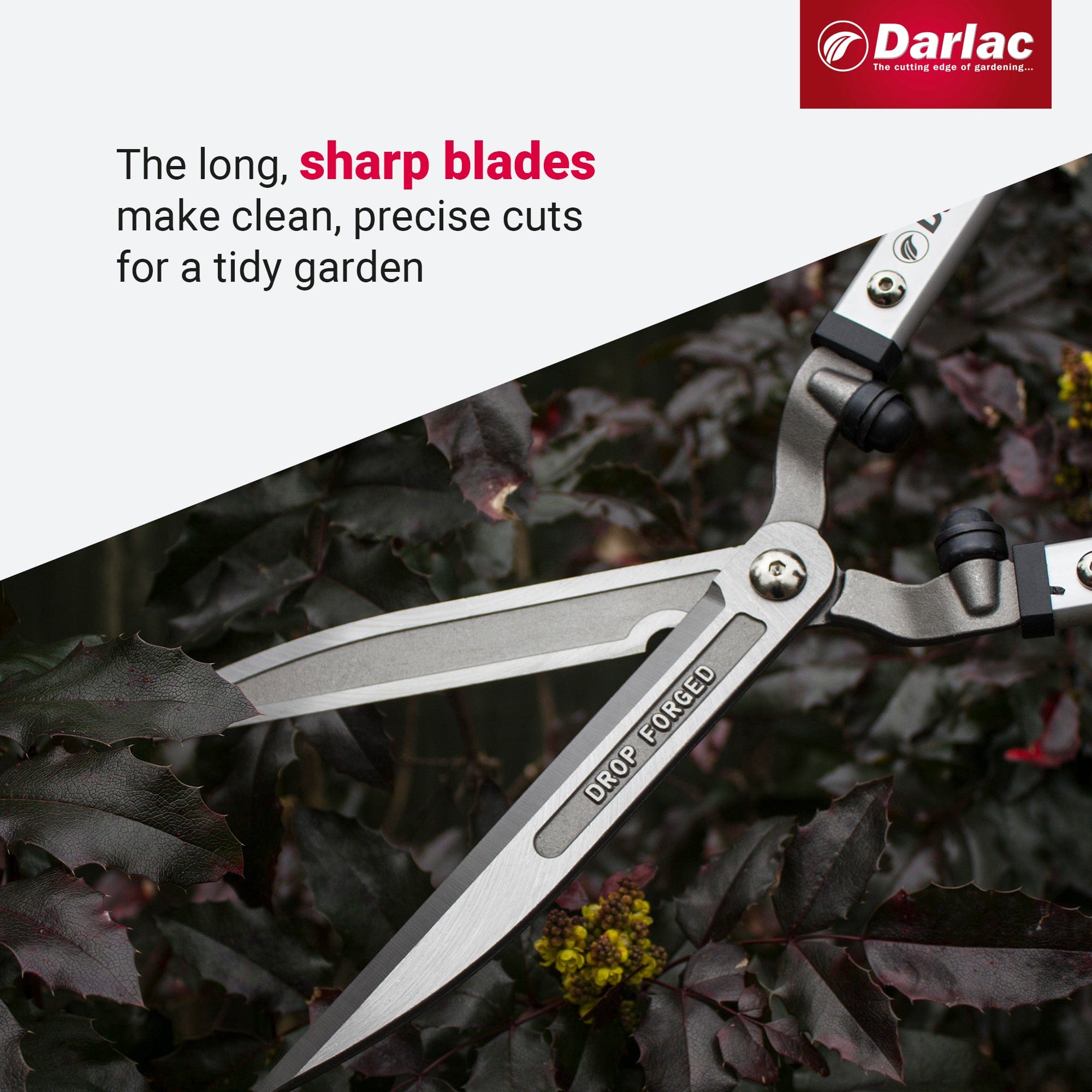 dt-brown HARDWARE Darlac Expert Drop Forged Shear