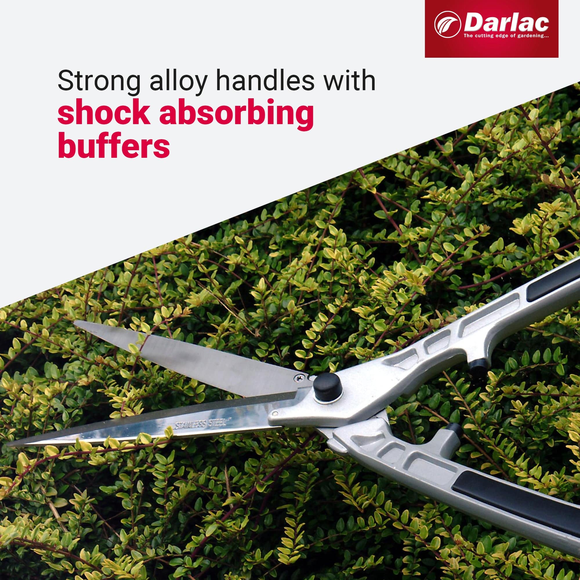 dt-brown HARDWARE Darlac Stainless Steel Shear