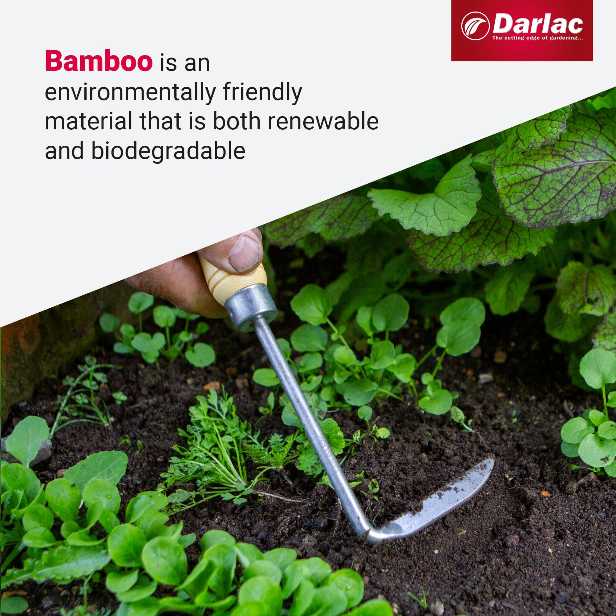 dt-brown HARDWARE Darlac Bamboo Cape Cod Weeder