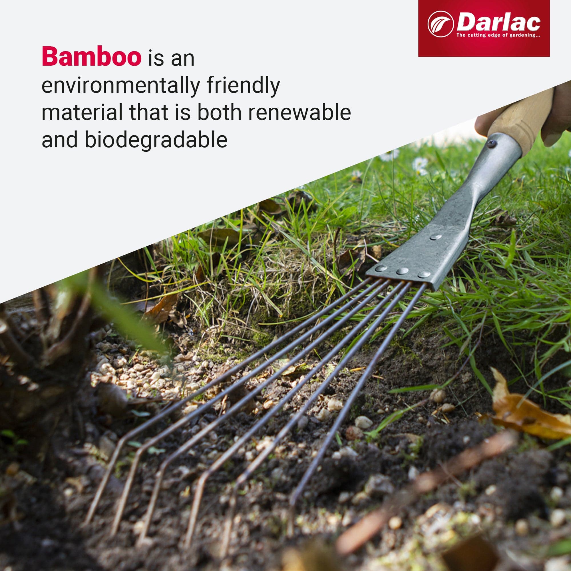 Darlac Bamboo Hand Rake