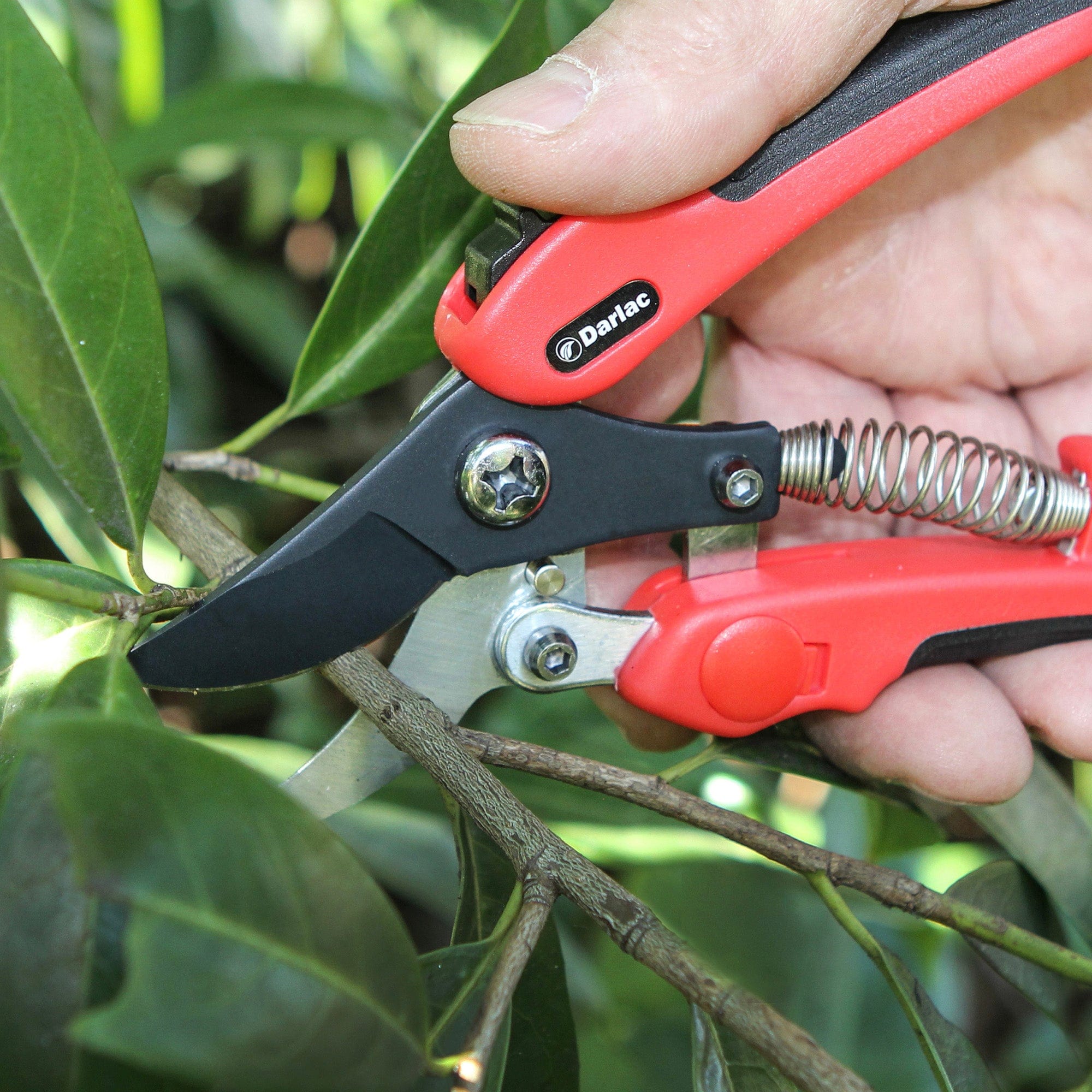 dt-brown HARDWARE Darlac Compound Action Bypass Secateurs